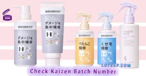 Check Kaizen Batch Number