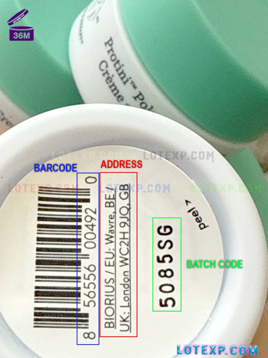 Drunk Elephant Batch Code Checker 2 Photo of Drunk Elephant body lotion bottle, ready for a batch code check.