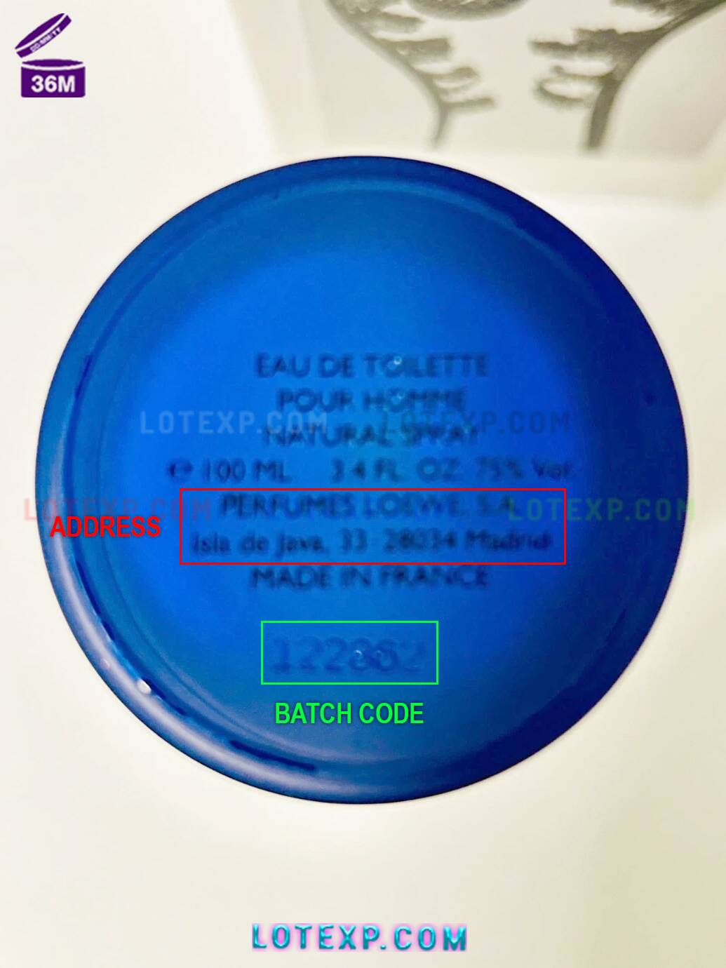 Loewe Batch Code 4 Someone holding a Loewe perfume, demonstrating how to check its expiry date with Lotexp.com's tool